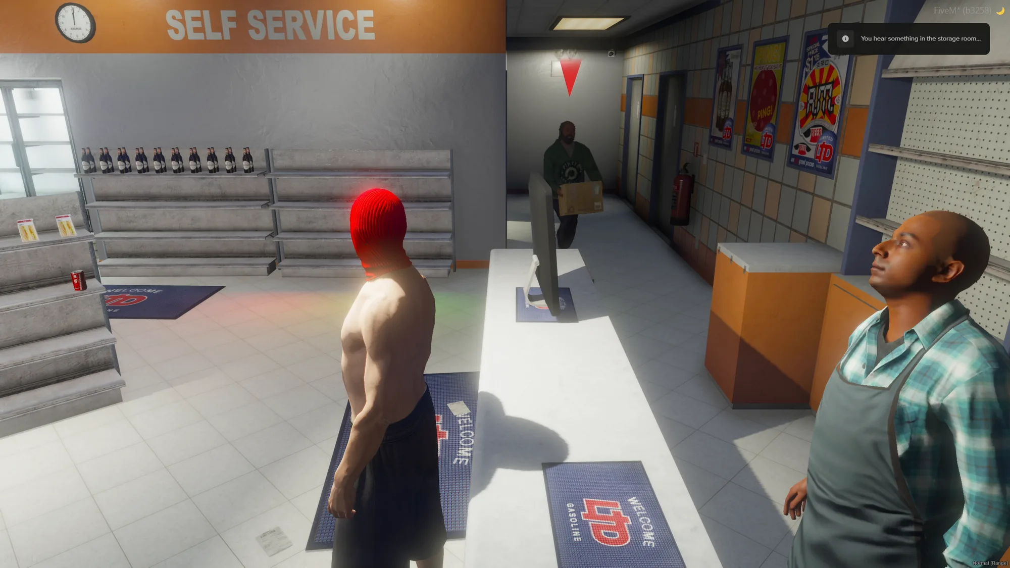 Storage Room Thieves